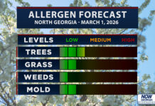 North Georgia Allergy Forecast