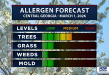 Central Georgia Allergy Forecast