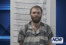Dahlonega man jailed for auto thefts in two counties