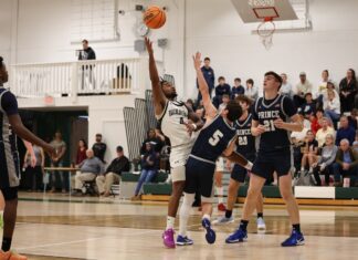 TFS boys, girls fall in Elite 8 games