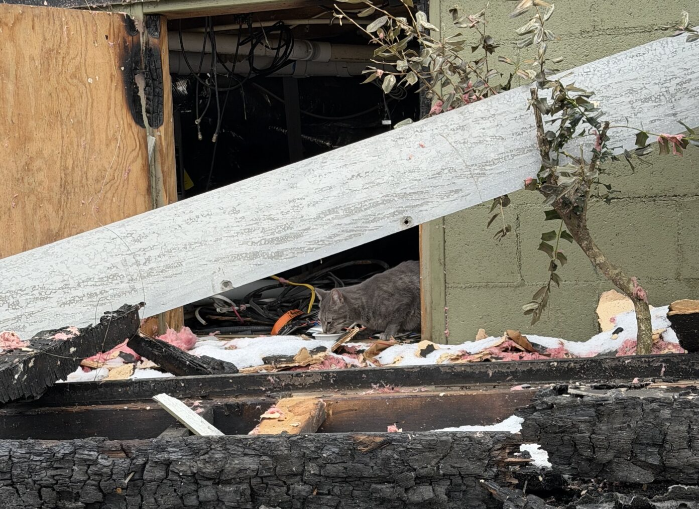 Family devastated by fire finds 'Silver' lining - Now Georgia
