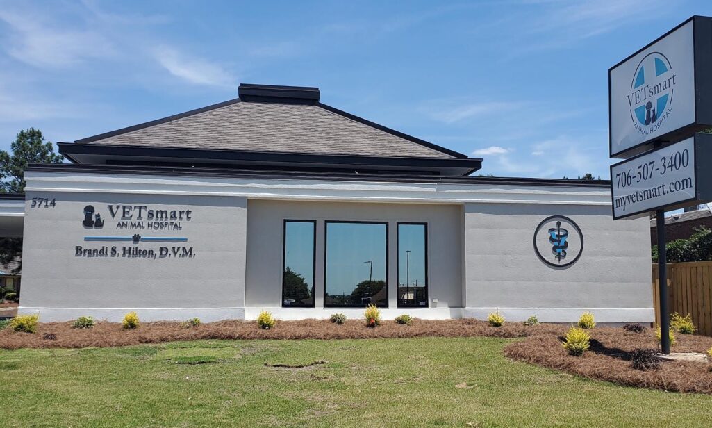 Small Business Spotlight: VETsmart Animal Hospital