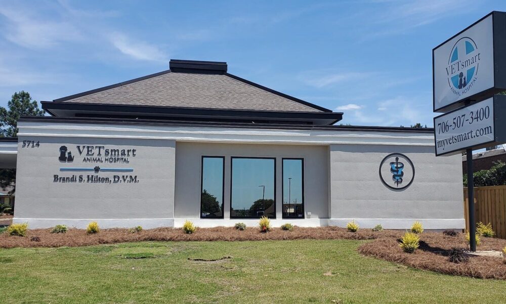 Small Business Spotlight: VETsmart Animal Hospital