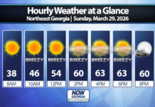 Northeast Georgia Daily Forecast