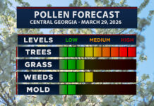 Central Georgia Allergy Forecast