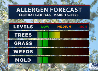 Central Georgia Allergy Forecast