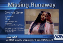 Search underway for runaway juvenile in Gainesville