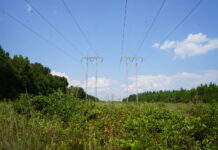 Environmental groups sue over Georgia Power’s energy expansion for data centers