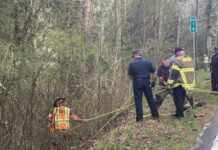 Woman rescued after SUV plunges down ravine on GA 197 North
