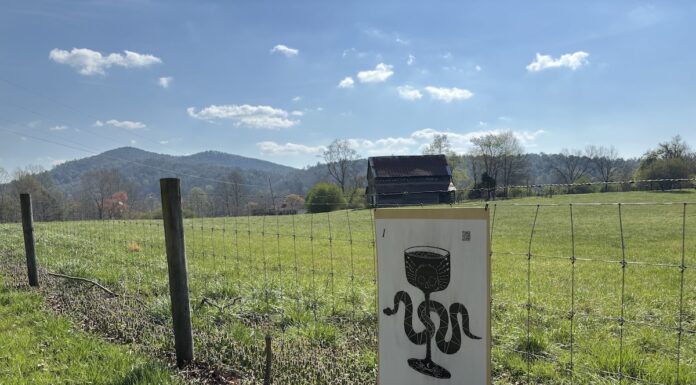 Stations of the Cross invites community to reflect ahead of Easter