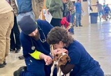210 pets vaccinated at free clinic day