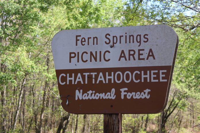 Fern Springs Sign