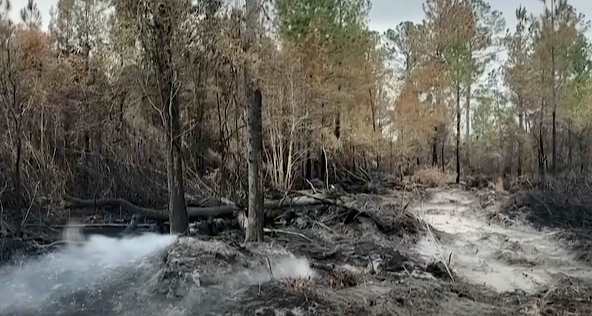 Georgia officials warn wildfires are still a threat as firefighters report progress