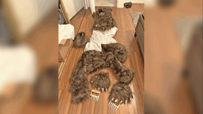 insurance fraud bear suit