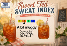 Central Georgia Sweet Tea Sweat Index