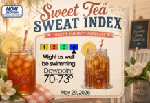 Central Georgia Sweet Tea Sweat Index
