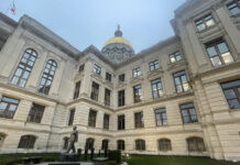 Twelve Georgia legislative races advance to runoffs