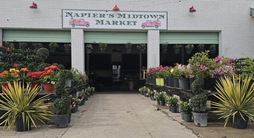 Small Business Spotlight: Napier’s Midtown Market