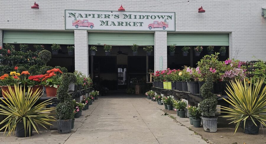 Small Business Spotlight: Napier’s Midtown Market