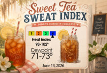 Central Georgia Sweet Tea Sweat Index
