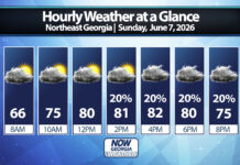 Northeast Georgia Daily Forecast