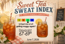 Central Georgia Sweet Tea Sweat Index
