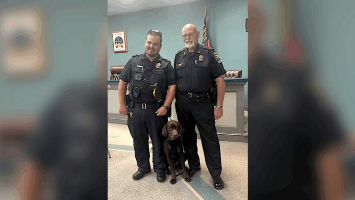 Chief Carlisle, Officer Rinehart and Brew