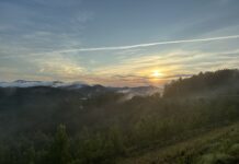Now Georgia Photo of the Day