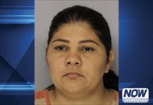 Driver charged, placed on immigration hold, after crash that killed Helen retiree