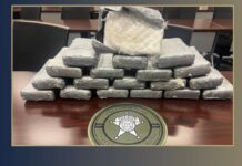 Cocaine traffickers arrested in big drug bust