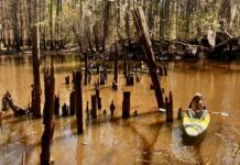 Juneteenth paddle remembers Civil War-era massacre at Ebenezer Creek