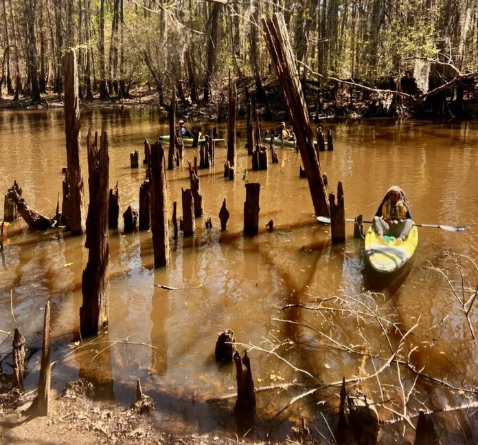 ebenezer_creek_site