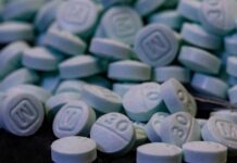 Staggering amounts of fentanyl hit streets as the DEA watched and took no action, records show