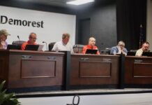 Demorest approves GoGov, advances city projects