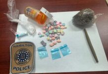 Street drugs resemble children’s vitamins in Hamilton bust