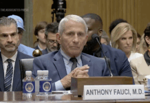 Fauci pleads the Fifth to COVID questions by US Sen. Rand Paul at intense hearing