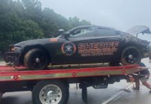 Habersham deputy injured in rollover on U.S. 441