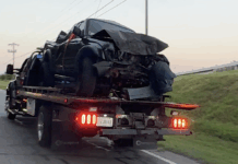 Driver charged with DUI after crashing head-on into tree on Hwy. 115