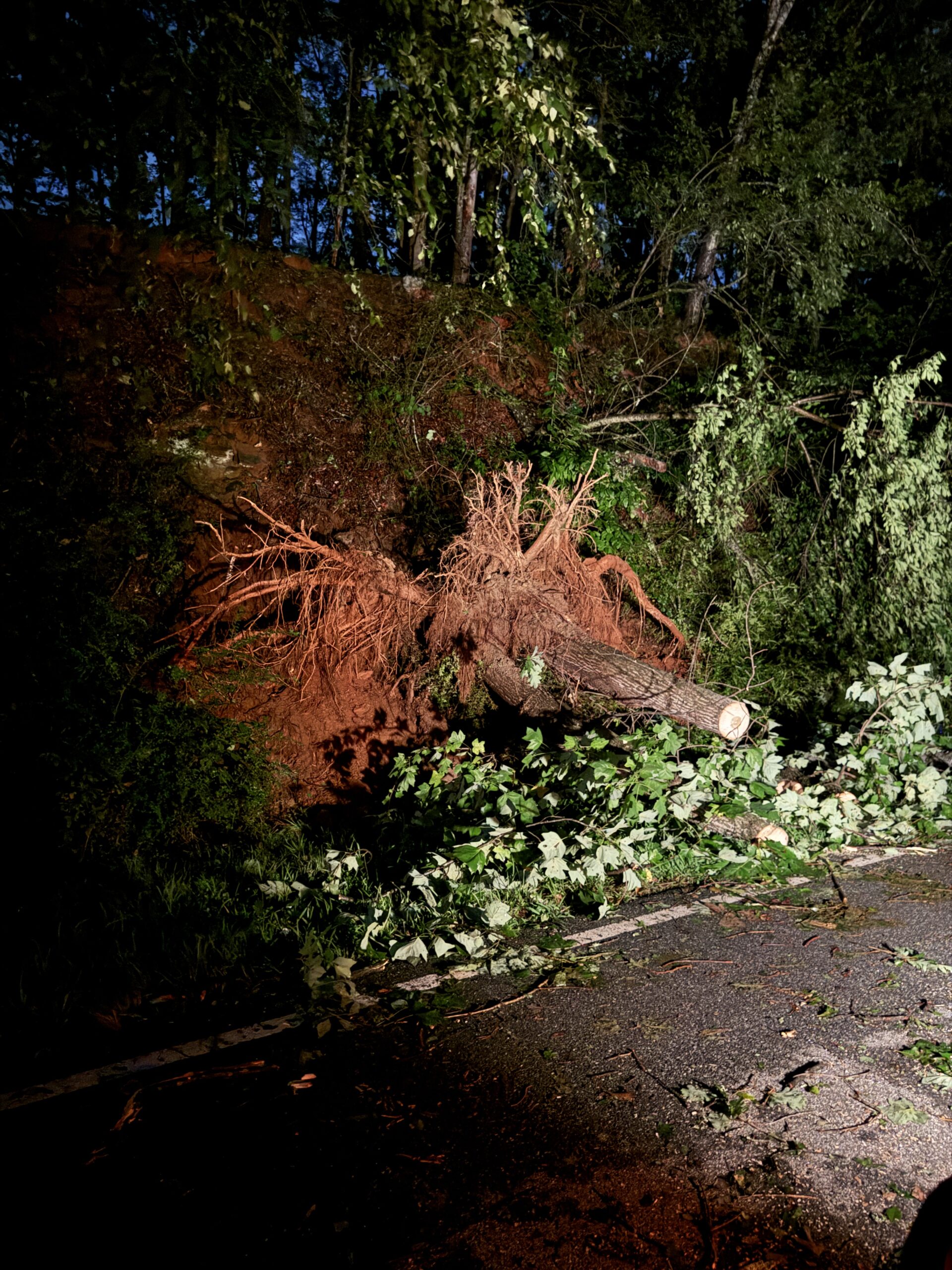 Power almost fully restored after severe storms - Now Georgia