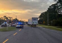 Man fleeing immigration officers in Florida is struck and killed by tractor trailer, police say
