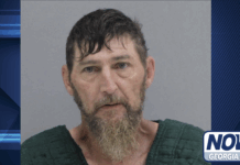 Tiger man arrested after drug raid at Lake Rabun campsite