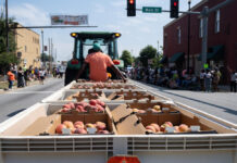 Survey aims to understand the financial wellbeing of Georgia farmers