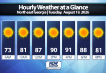 Northeast Georgia Daily Forecast
