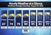 Northeast Georgia Daily Forecast