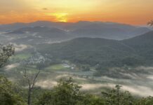 Now Georgia Photo of the Day