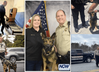 After 1,600 deployments, Habersham K9 Roxy heads into retirement