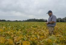 High costs and low profits top list of challenges for Georgia farmers