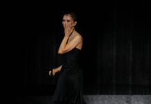 Celine Dion thrills fans with emotional comeback concert after overcoming rare illness