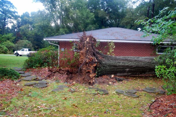 Storm damage Dogwood Dr East Columbus