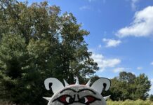 Now Georgia Photo of the Day